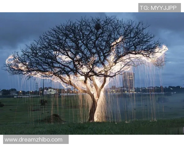 pg电子火树赢花视频-PG电子火树赢花视频的魅力与盛宴解读-pg电子火树赢花视频 pg电子火树赢花视频-PG电子火树赢花视频的魅力与盛宴解读-pg电子火树赢花视频